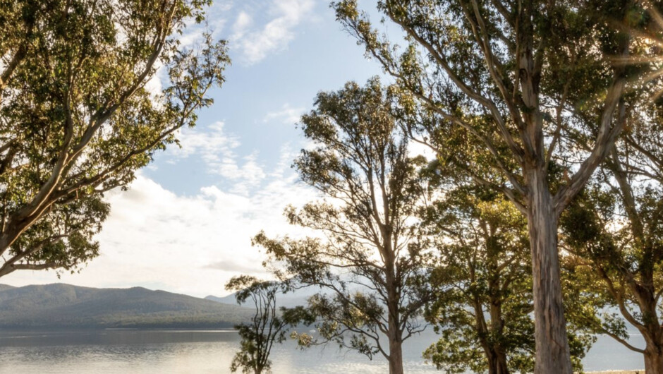 Hop, Skip and Jump to the Lake - Te Anau House