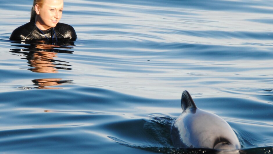 A gentle, responsible dolphin encounter