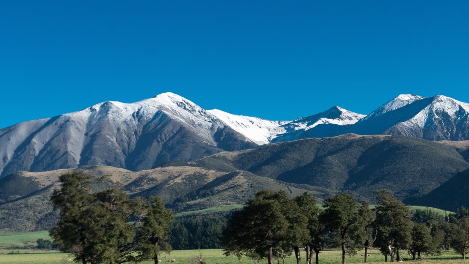 A gentle guided walk in Arthur's Pass National Park