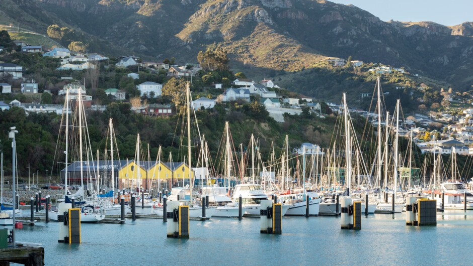 Lyttelton Harbour