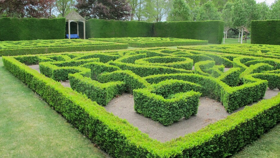A celebrated Canterbury garden in full bloom