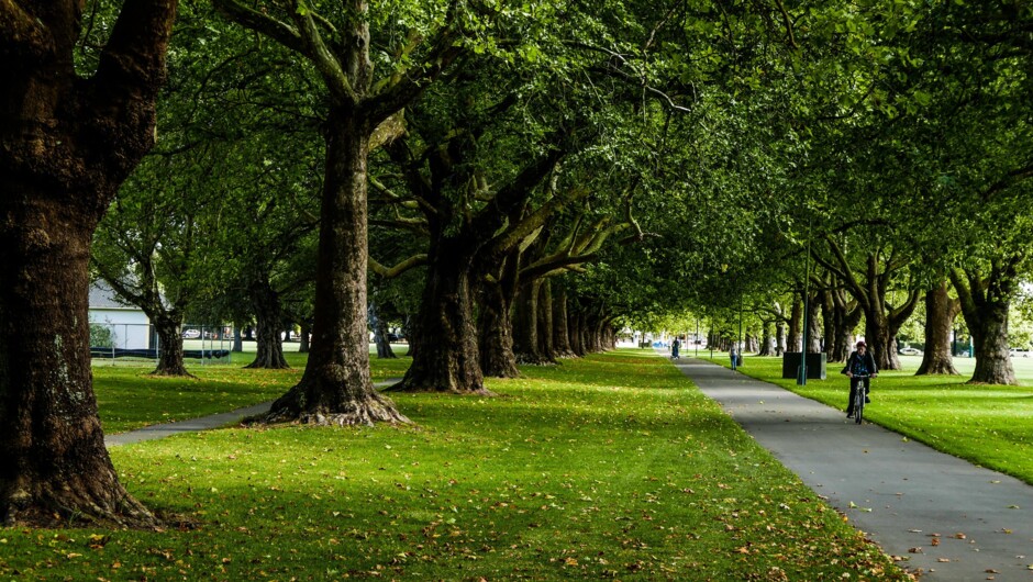 Cycling the flat, leafy paths of Hagley Park, Christchurch