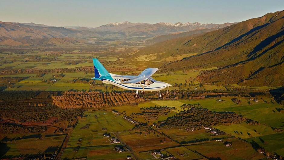 A Wings over Whales aircraft scans the Kaikōura Canyon