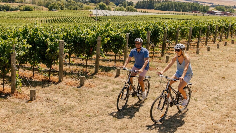 Vineyards of the Waipara Valley, North Canterbury's premier wine region