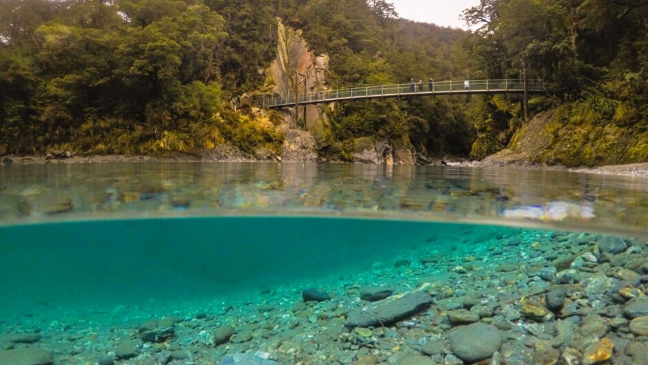 The Blue Pools of Haast, a World Heritage area of ancient forest