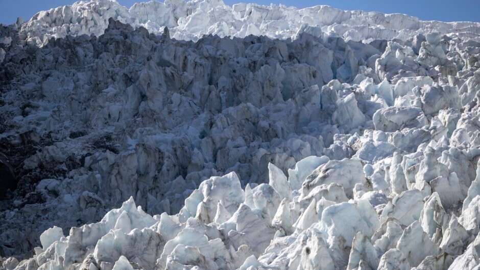 Fox Glacier on the West Coast