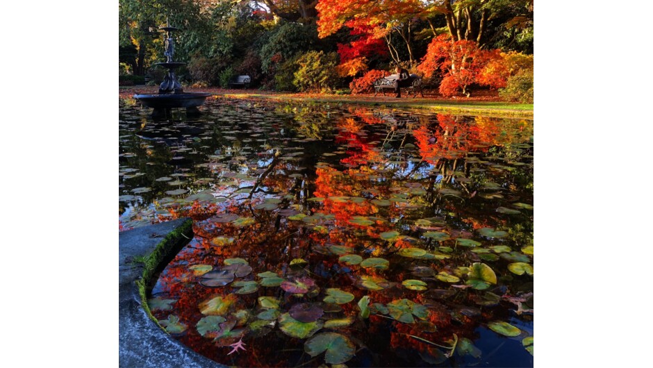 Christchurch Botanic Gardens in autumn