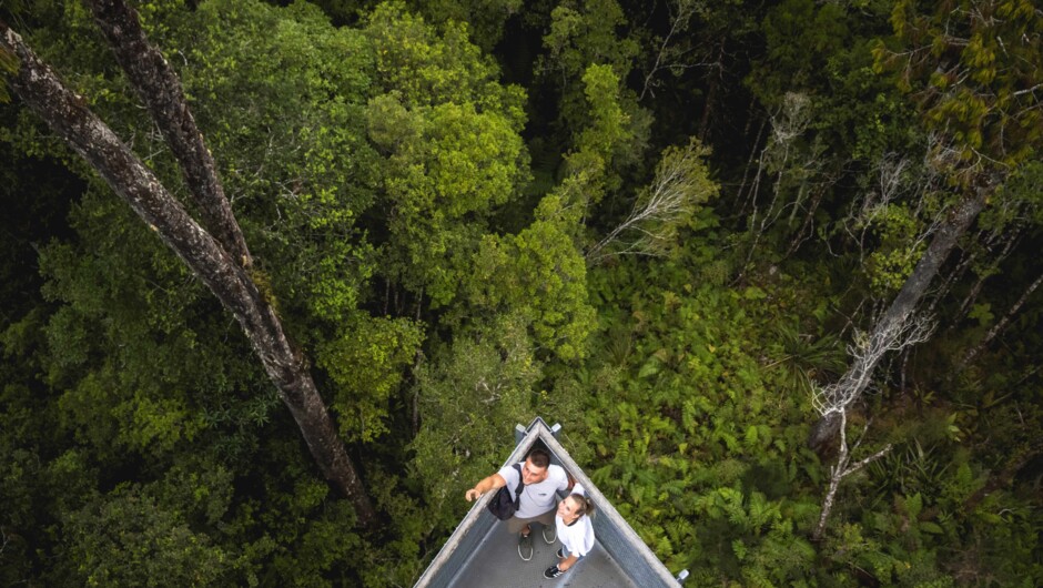A rainforest walkway on the West Coast