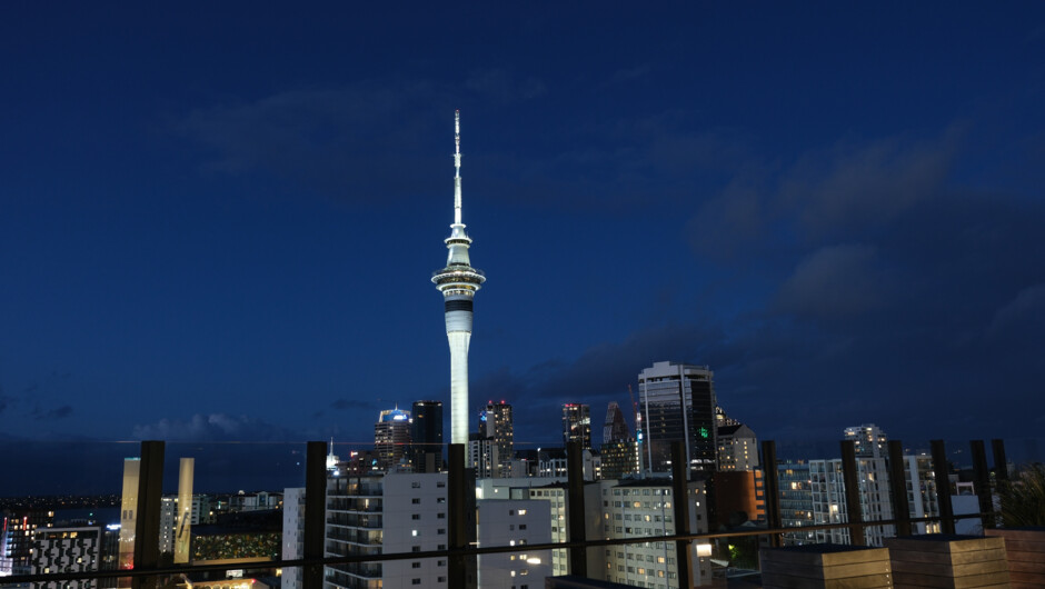 View from rooftop of Skytower