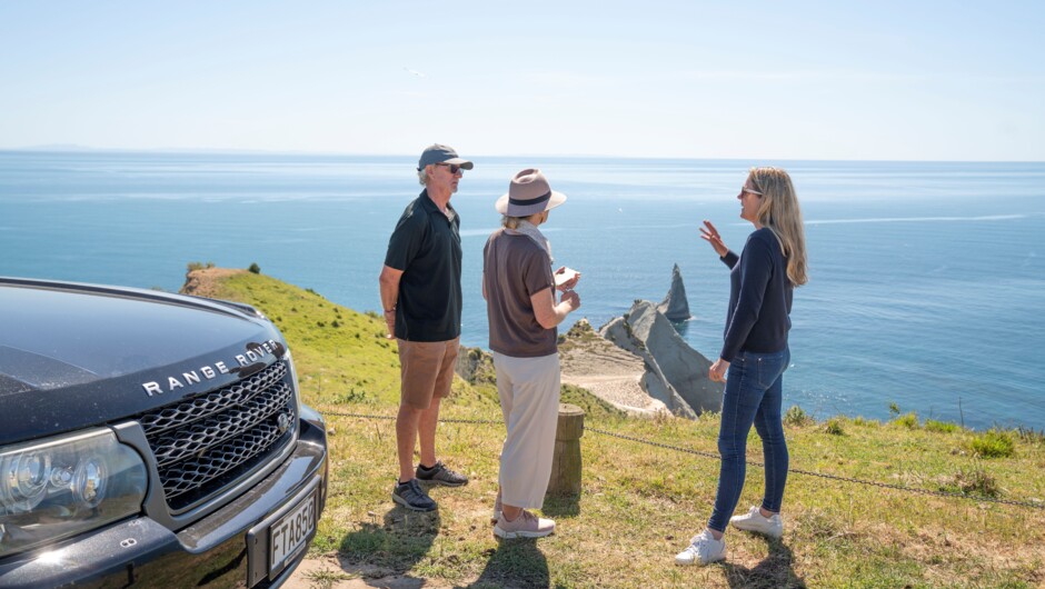 Cape Kidnappers main colony