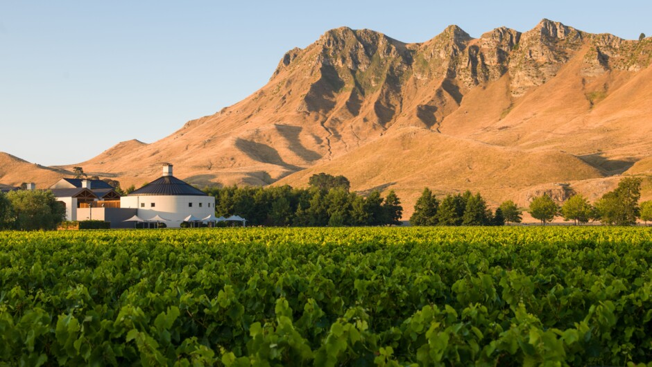 Craggy Range Winery &amp; Te Mata Peak