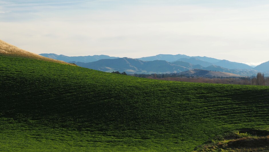 Hill views