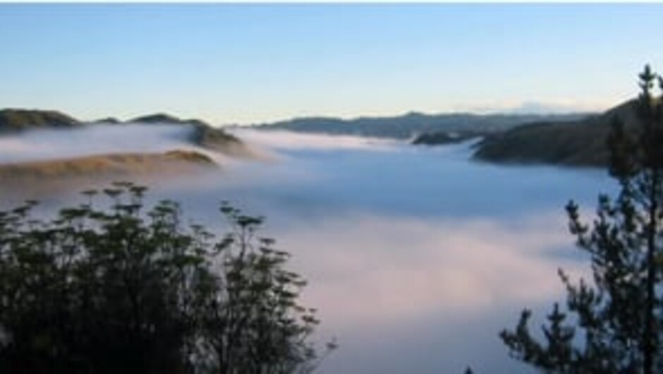 Whanganui Tours