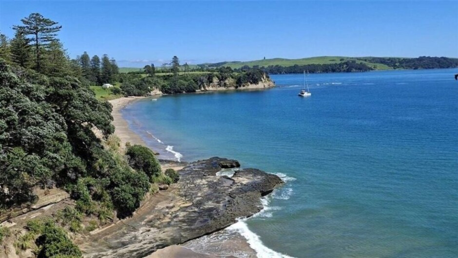 Motuihe Island Wildlife Experience