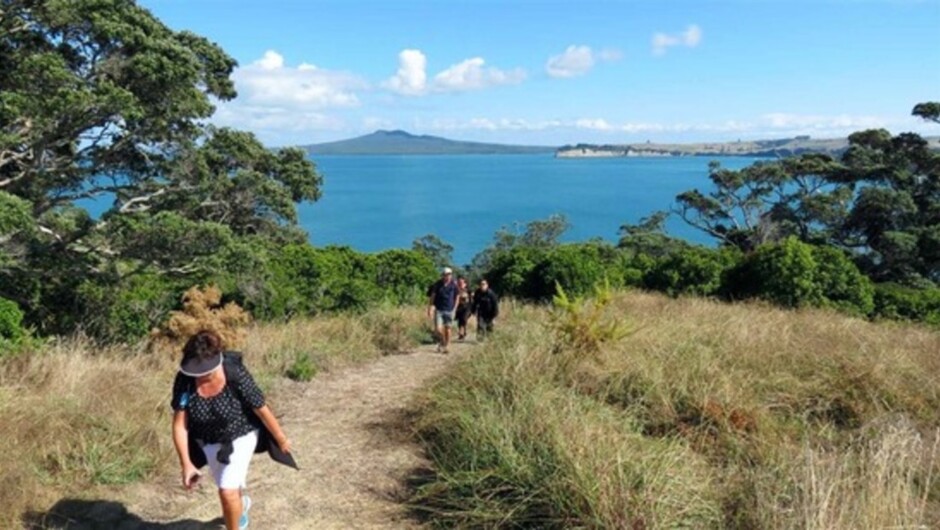 Motuihe Island Wildlife Experience