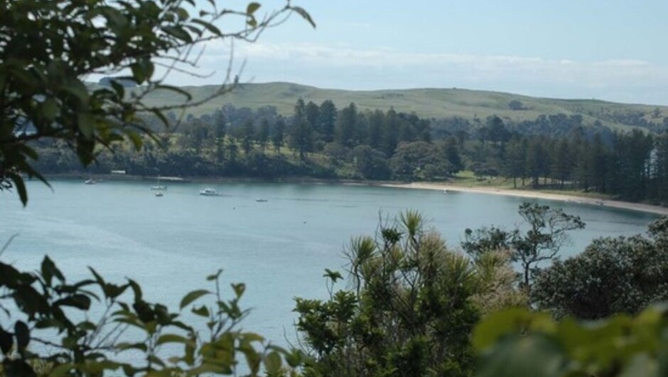 Motuihe Island Wildlife Experience