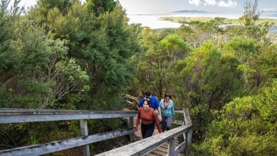 Rangitoto Island