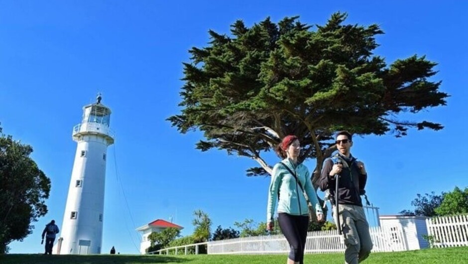 Tiritiri Matangi Island