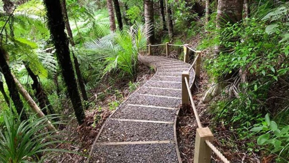 Mercer Bay Hiking &amp; Waterfalls