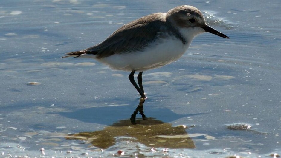 Birdwatching, Hiking &amp; Waterfalls