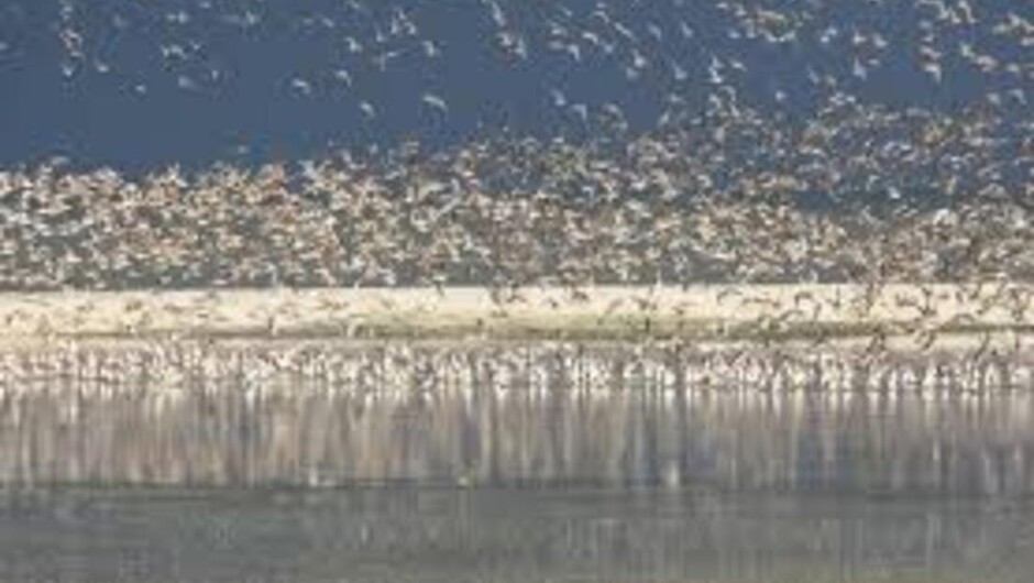Birdwatching, Hiking &amp; Waterfalls