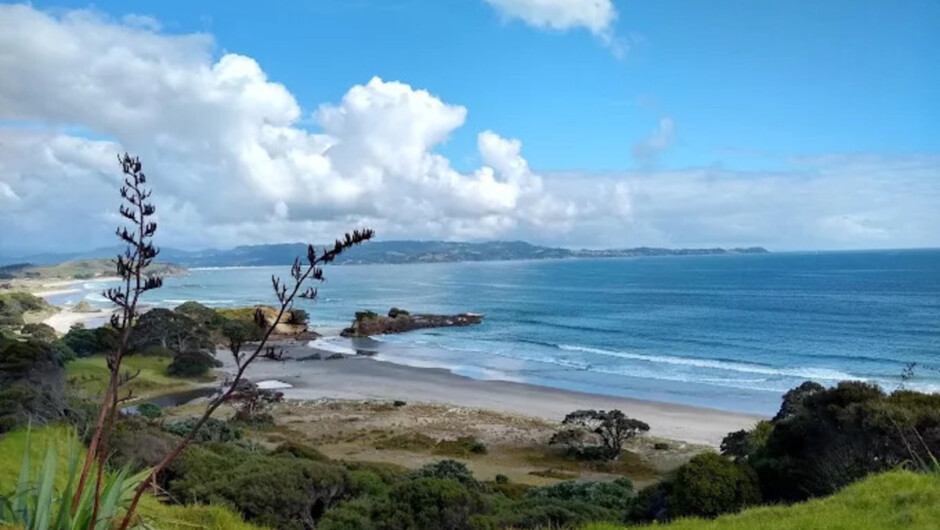 Tāwharanui Wildlife