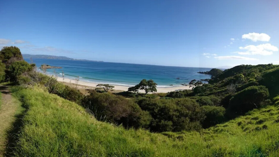Tāwharanui Wildlife