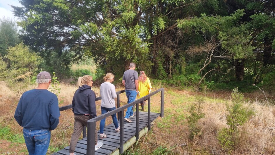 Bush Walk