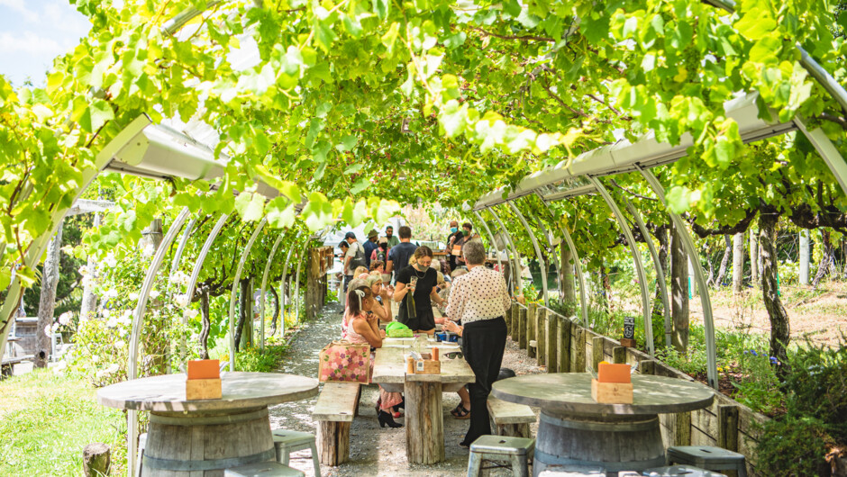 Wine Tasting