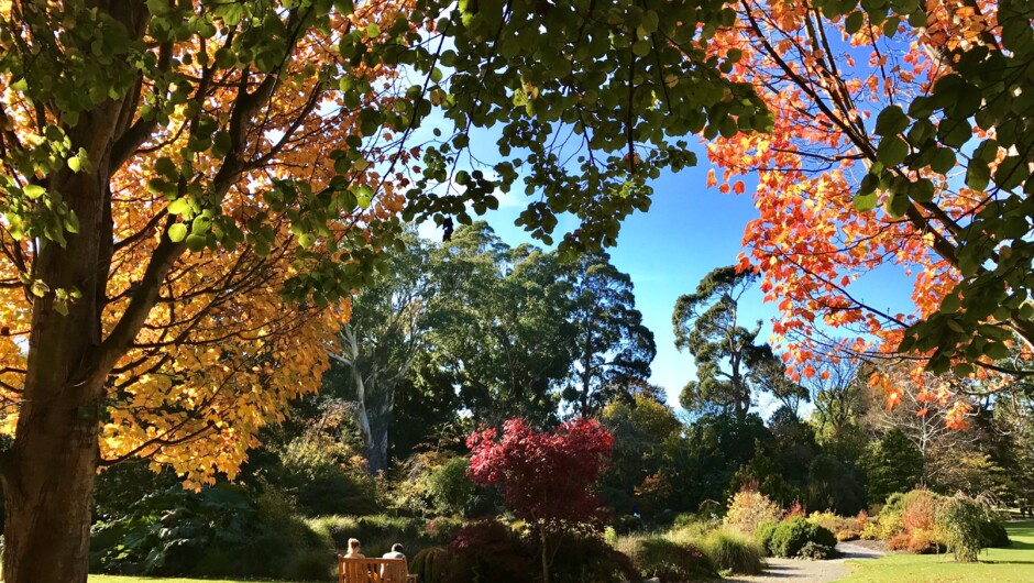 Highlights of central Christchurch, the garden city