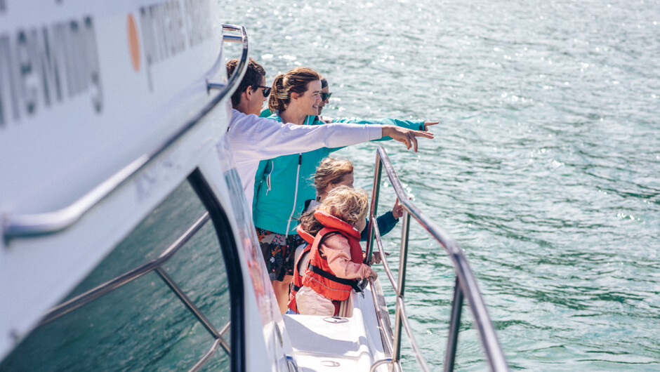 Cruise the Harbour