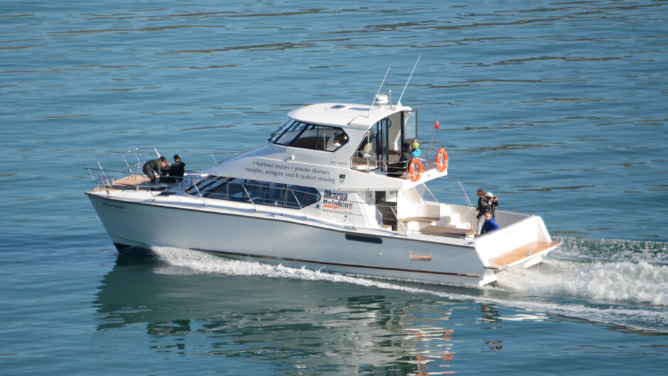 Cruise the Harbour