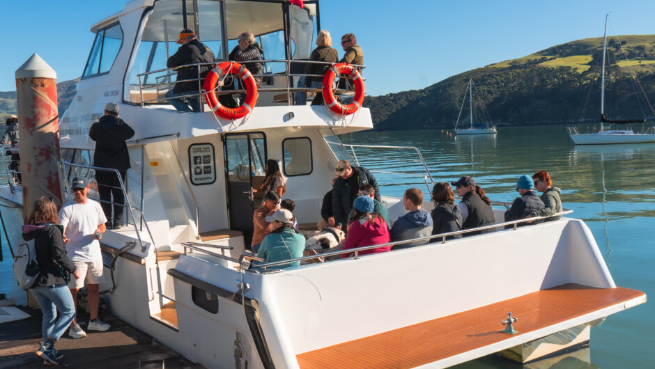 Cruise the Harbour