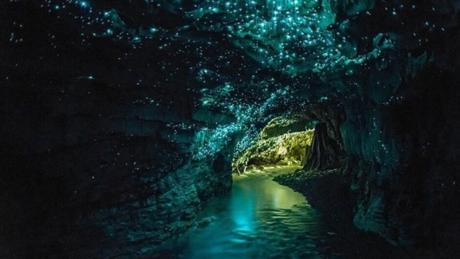 Waitomo Caves
