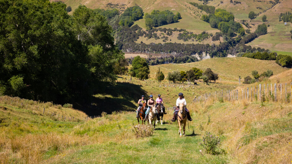 Hill country riding in the Rangitikei.