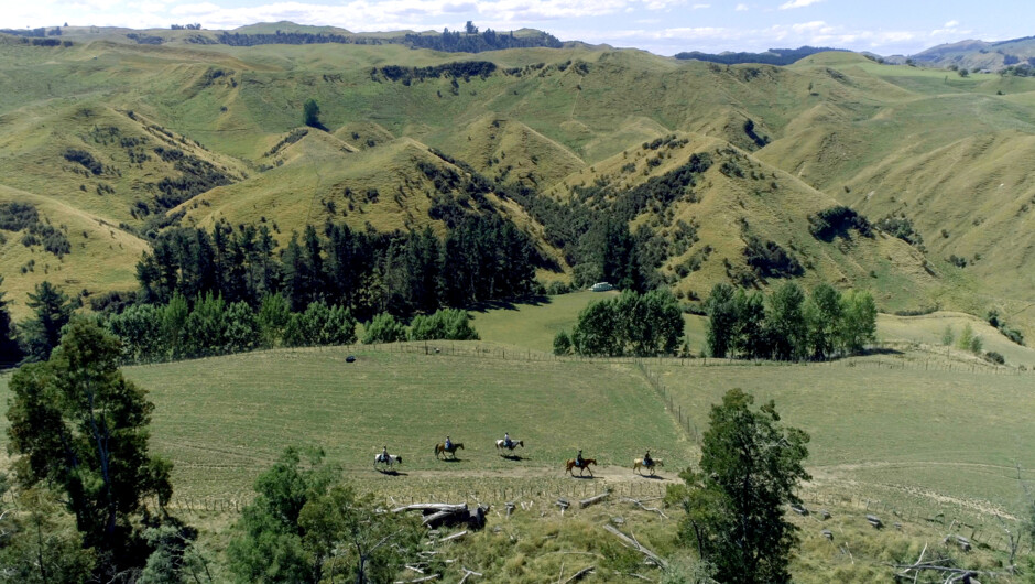 Trekkers on the way on a High Country Enchantment Horse Trek.