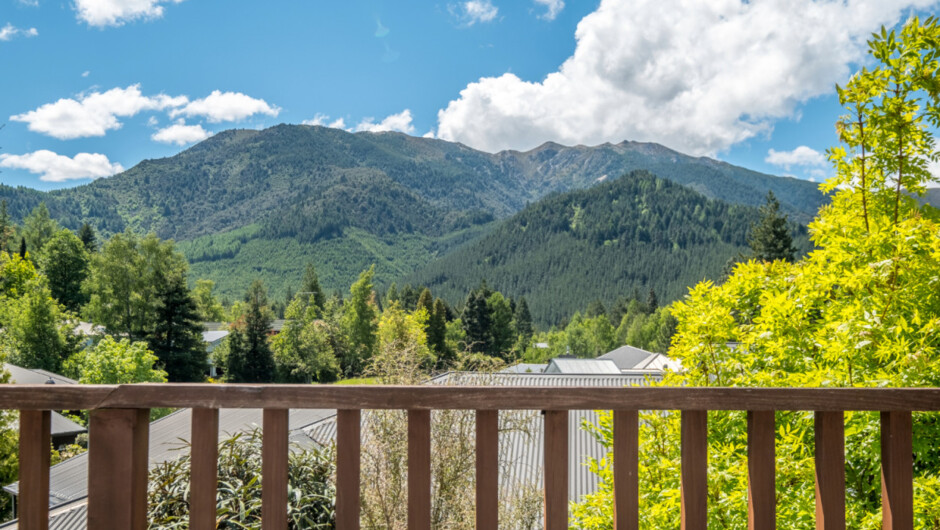 Hanmer Forest View