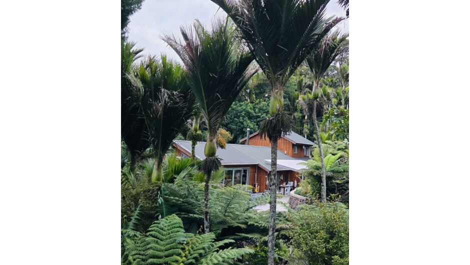 Annabells B&amp;B is in a Nikau forest, surrounded by ferns, secluded and safe.