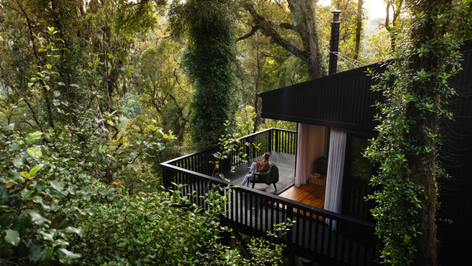 Luxury treehouse accomodation in the heart of the West Coast
