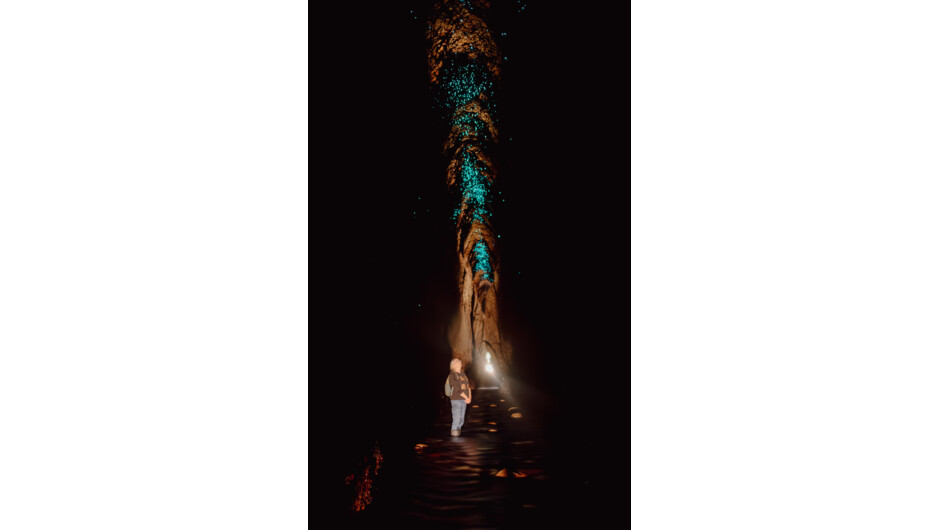 Glow worm Tunnel Experience