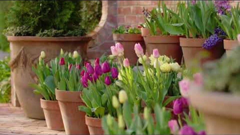 Our Gardens – Otahuna Lodge