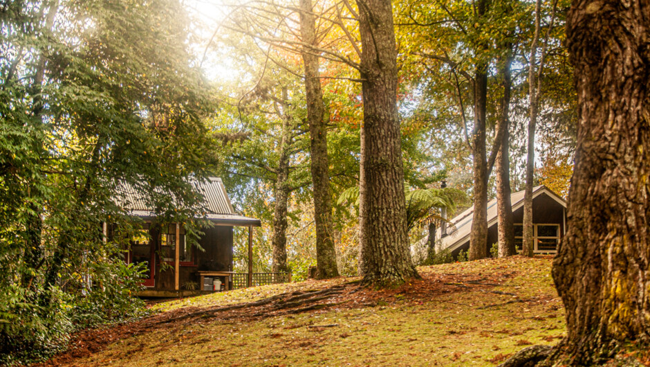 Waterfall Cabin