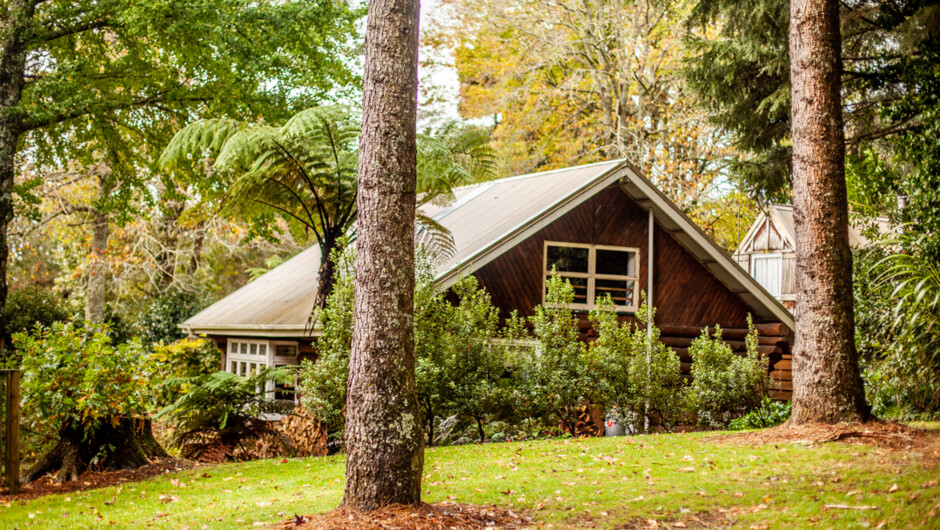 Log Cabin