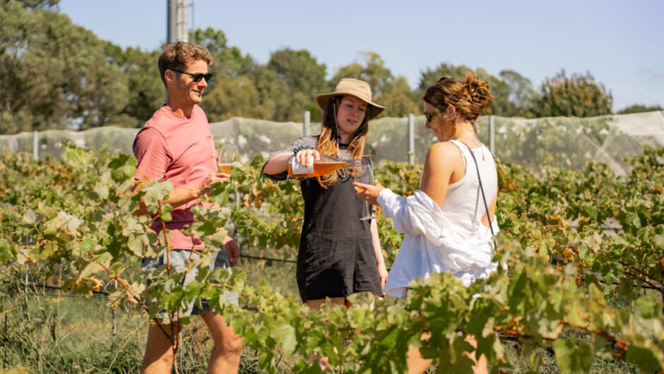Enjoy wine in the vinyards that made it