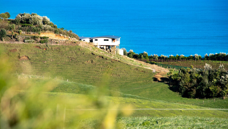 Chalets from our driveway