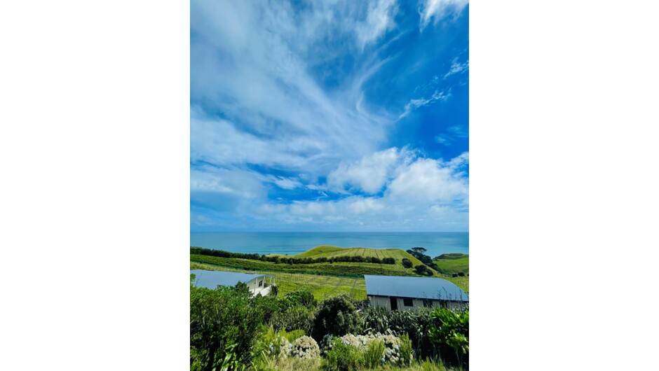 View over the lower winery
