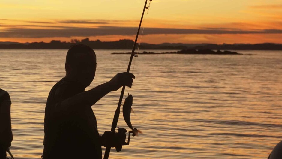 That moment when the sunset and the catch arrive at the same time. Pure magic at the Bay of Islands.