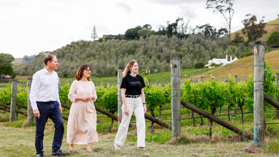 Havelock Hills vineyards from 1896 still in use today.