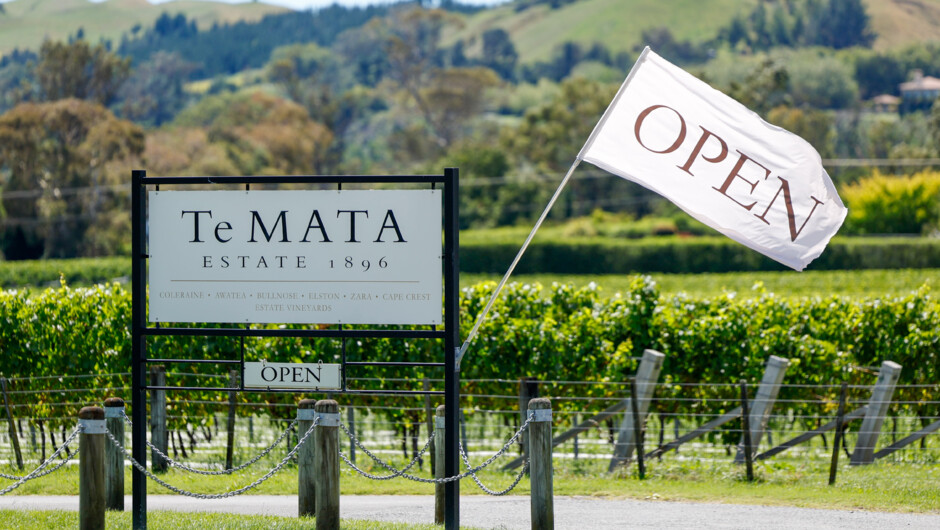 Te Mata Estate Driveway