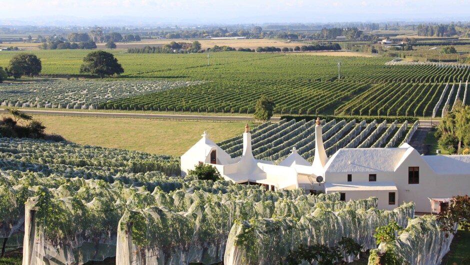 Coleraine Vineyard